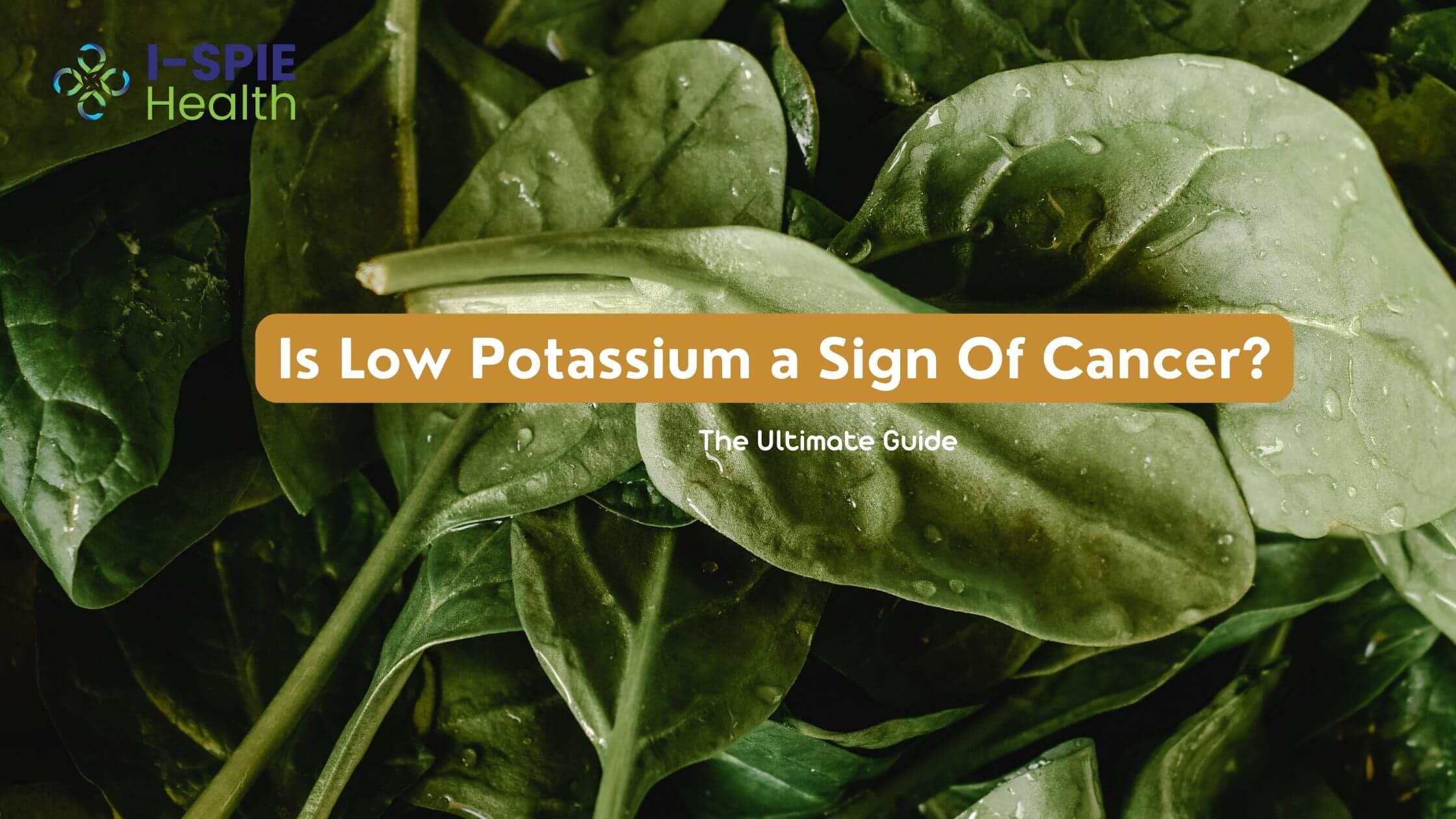 Is Low Potassium a Sign Of Cancer? ISPIE Health